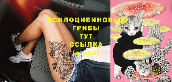 таблы Пестово
