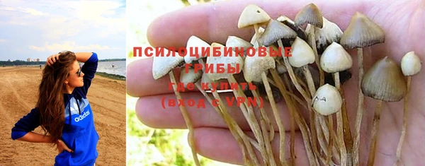 бошки Горняк