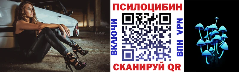 продажа наркотиков  Октябрьск  OMG   Псилоцибиновые грибы Cubensis 